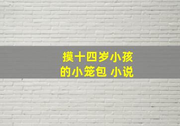 摸十四岁小孩的小笼包 小说